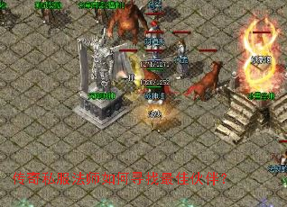 ����˽����ʦ���Ѱ����ѻ�飿