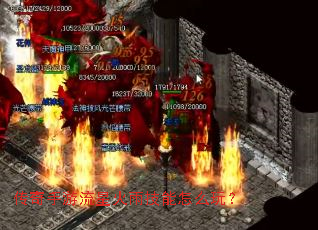 �����������ǻ��꼼����ô�棿