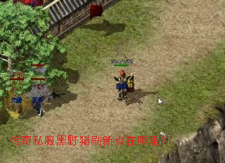 ����˽����Ұ��ˢ�µ������