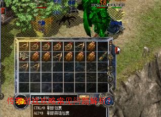 ������Ϸ���Գ������������