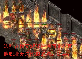 ��ʦ�ڴ�����Ϸ��ӵ����Щ����ְҵ�޷�����Ķ������ƣ�