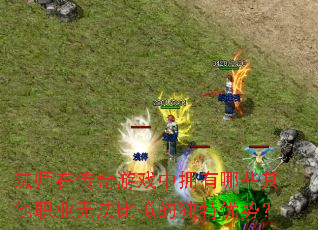 ��ʦ�ڴ�����Ϸ��ӵ����Щ����ְҵ�޷�����Ķ������ƣ�