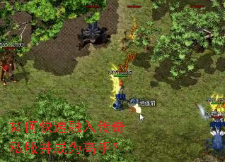 ��ο������봫��˽������Ϊ���֣�