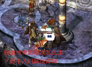 ��Ѫ�������ö���ô�ߣ���������·�����