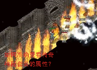 ���׼ȷ�鿴����������װ�����ԣ�