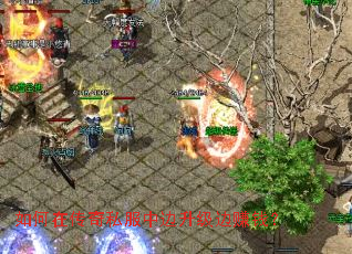 ����ڴ���˽���б�������׬Ǯ��