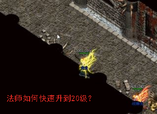 ��ʦ��ο�������20����