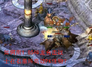 �����1.85�����ϻ�սʿ��ʯĹ���ЧPK���