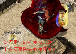 �����1.85�����ϻ�սʿ��ʯĹ���ЧPK���