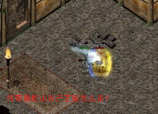 ���涾��ɽ��ʬ������ô�ߣ�