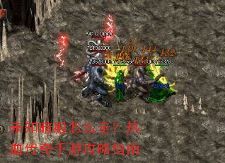 δ֪������ô�ߣ���Ѫ�������ι���ָ��