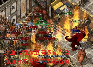 ��Ѫ����ӥ���ж�ǿ��ȫ�������������ʵս��ֵ