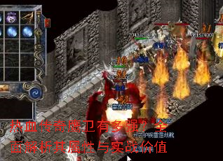 ��Ѫ����ӥ���ж�ǿ��ȫ�������������ʵս��ֵ