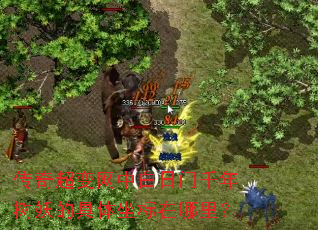 ���泬�����а�����ǧ�������ľ������������