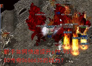 ������ο�������sf1.951.80����0686635��ս����