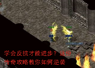 学会反抗才能进步?这份传奇攻略教你如何逆袭 学会反抗才能进步?这份传奇攻略教你如何逆袭