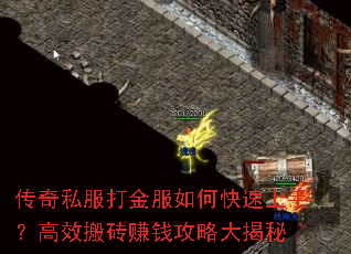 ����˽��������ο������֣���Ч��ש׬Ǯ���Դ����