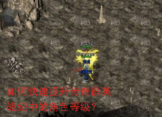 ��ο�����������ȺӢս���еĽ�ɫ�ȼ���