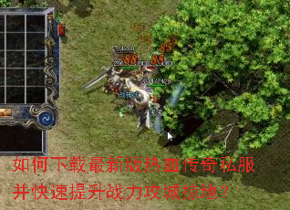 ����������°���Ѫ����˽������������ս�������ӵأ�