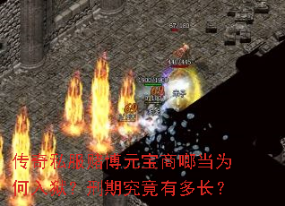 ����˽���Ĳ�Ԫ����ॵ�Ϊ�����������ھ����ж೤��