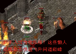 ������Ӵ���˽������Щ���˹���������ٷ����ʵ��۷�