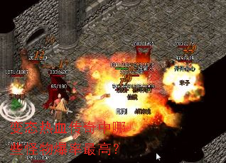 ��̬��Ѫ��������Щ���ﱬ����ߣ�