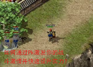 ���ͨ��Pk�������ս�����鲢��������ʵ����