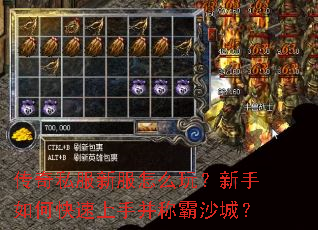 传奇私服新服怎么玩?新手如何快速上手并称霸沙城? 传奇私服新服怎么玩?新手如何快速上手并称霸沙城?