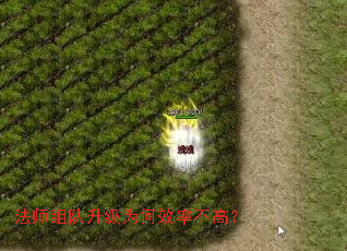 ��ʦ�������Ϊ��Ч�ʲ��ߣ�