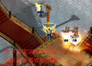 地下夺宝活动怎么玩?新手必看攻略指南 地下夺宝活动怎么玩?新手必看攻略指南