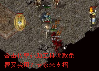 �ϻ����渨�������Ŀ������ʵ�ã�ר����֧��