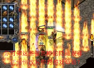 ���֪��Щ�����Ե����ع��ɣ������ĸ�д�����Ϸ���ˣ�