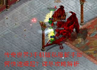 ��������3�ֻ���˽��������ο��������꾡���Խ���