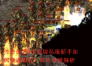 ��������3�ֻ���˽��������ο��������꾡���Խ���