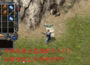 ����˽��������������ţ���ο������ִ������磿