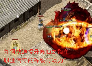 如何快速提升修仙之路单职业传奇的等级与战力? 如何快速提升修仙之路单职业传奇的等级与战力?