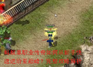 蚂蚁单职业传奇如何从新手快速进阶至巅峰?完整攻略解析 蚂蚁单职业传奇如何从新手快速进阶至巅峰?完整攻略解析