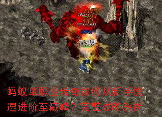 蚂蚁单职业传奇如何从新手快速进阶至巅峰?完整攻略解析 蚂蚁单职业传奇如何从新手快速进阶至巅峰?完整攻略解析