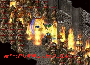 如何快速从新手成长为沙城城主? 如何快速从新手成长为沙城城主?