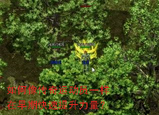 如何像传奇运动员一样在早期快速提升力量? 如何像传奇运动员一样在早期快速提升力量?