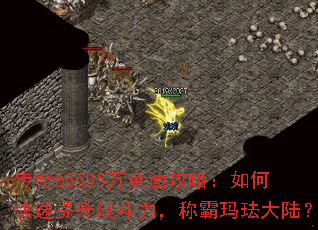 传奇65535万金油攻略:如何快速提升战斗力,称霸玛珐大陆? 传奇65535万金油攻略:如何快速提升战斗力,称霸玛珐大陆?