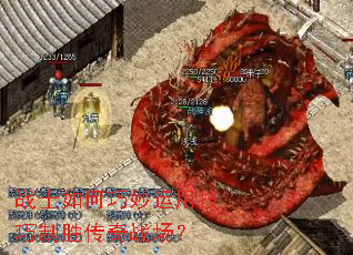 սʿ����������ü�����ʤ����ս����