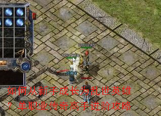 ��δ����ֳɳ�Ϊ����Ӣ�ۣ���ְҵ������ֽ��׹���