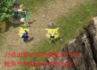 �����������ưԳ��䴫�棿���䴫�泩��ȫ����ָ�ϣ�