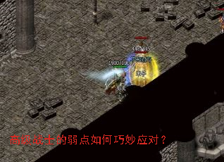 �߼�սʿ�������������Ӧ�ԣ�