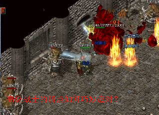 �߼�սʿ�������������Ӧ�ԣ�