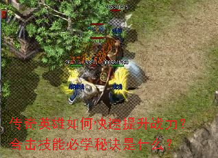 ����Ӣ����ο�������ս�����ϻ����ܱ�ѧ�ؾ���ʲô��